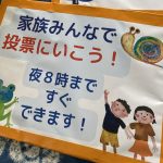沖縄選挙運動体験記